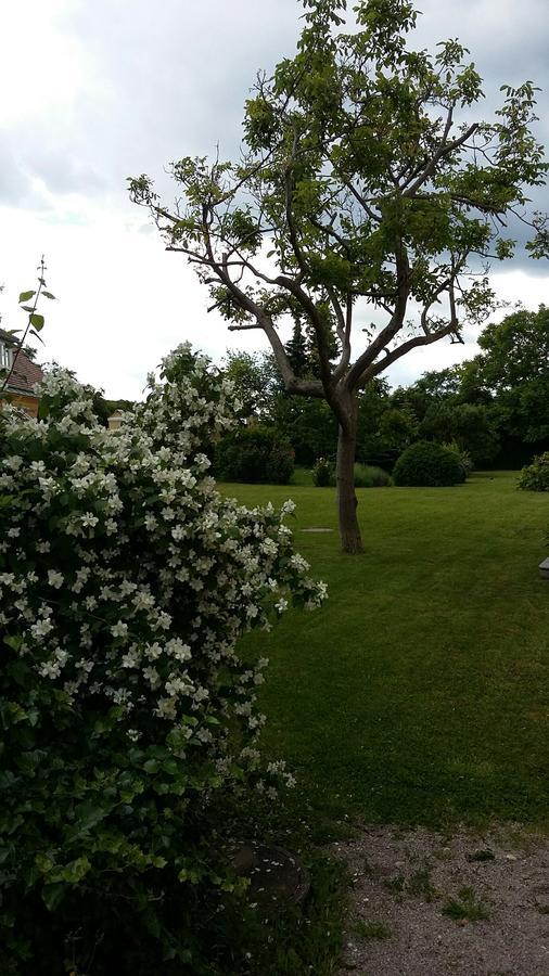 Schloss Gumpoldskirchen Hotel Exterior photo